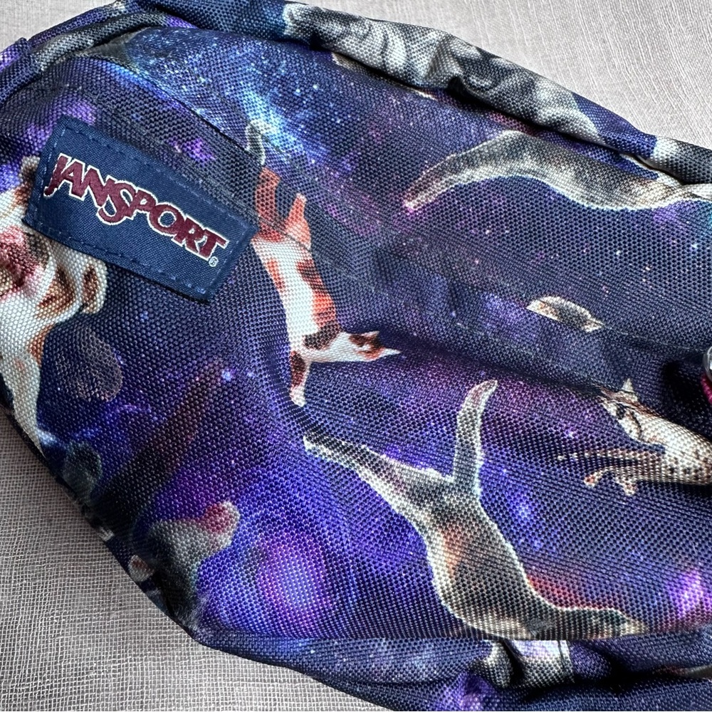 Jansport Galaxy Cat Dog Fanny Pack - Blue and Pink - Picture 2 of 8